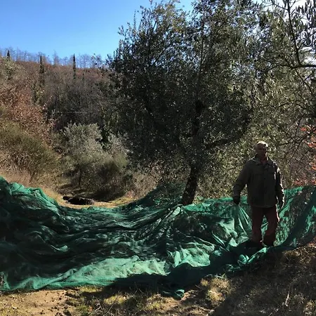 Borgo Di Novole Cortona